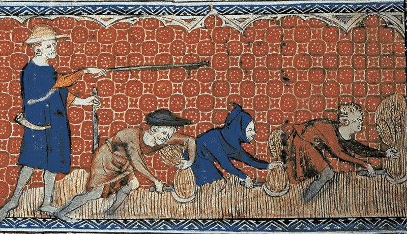 Illustration médiévale d'hommes récoltant le blé à la serpe